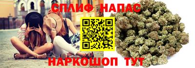 трава Обнинск