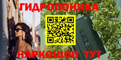 мдма Новодвинск