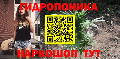 трава Обнинск